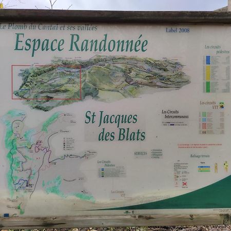 Saint-Jacques-des-Blats Maison Familiale Et Authentique מראה חיצוני תמונה